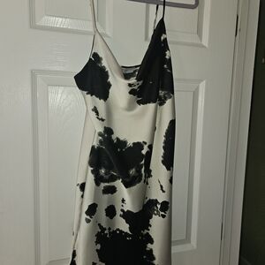 Renee C. Black and Cream Mini Dress